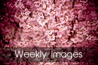 成色18k.8811.7v黑莓哪個(gè)廠(chǎng)家好-山東國(guó)康全自動(dòng)技術(shù)檢測(cè)人體成色18k.8811.7v黑莓器生產(chǎn)廠(chǎng)家品牌亮眼