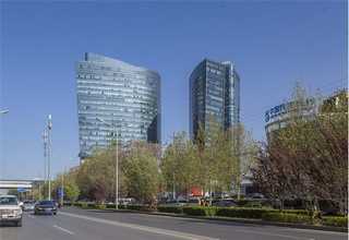 蘋果紅梨樹苗發(fā)源地出售